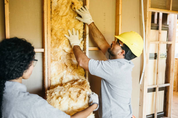 Best Radiant Barrier Insulation  in Feather Sound, FL