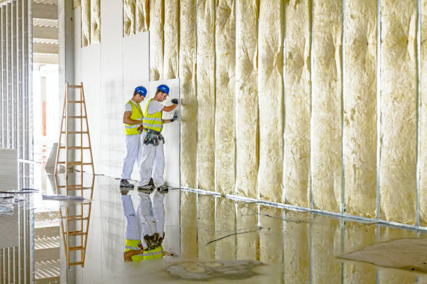 Best Crawl Space Insulation  in Feather Sound, FL